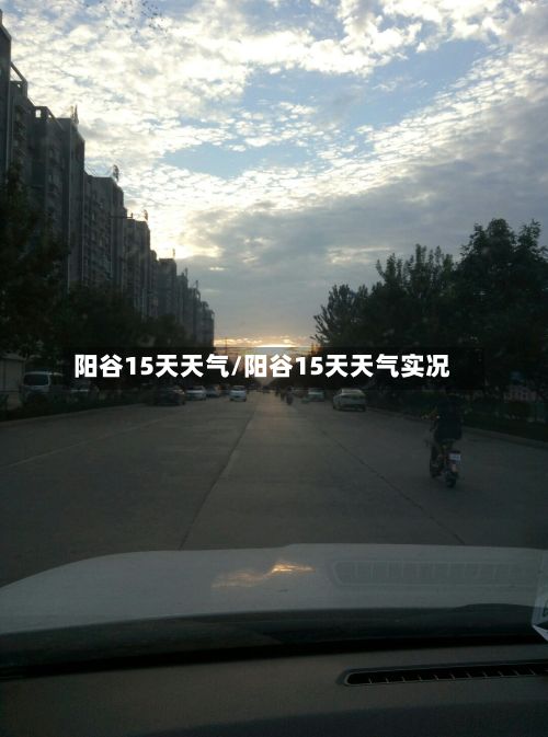 阳谷15天天气/阳谷15天天气实况