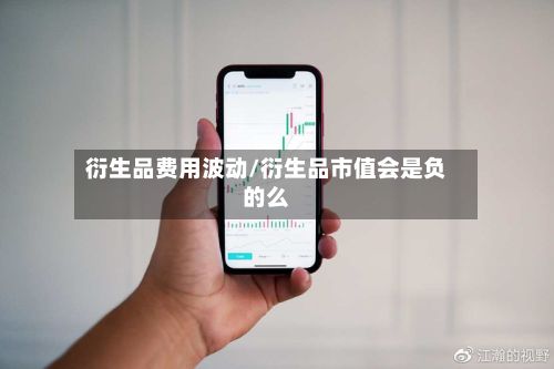 衍生品费用波动/衍生品市值会是负的么