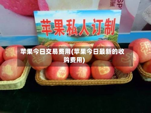 苹果今日交易费用(苹果今日最新的收购费用)-第2张图片