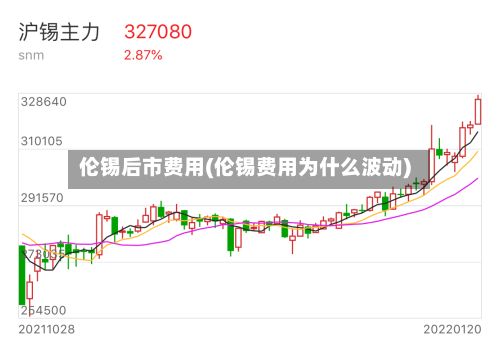伦锡后市费用(伦锡费用为什么波动)