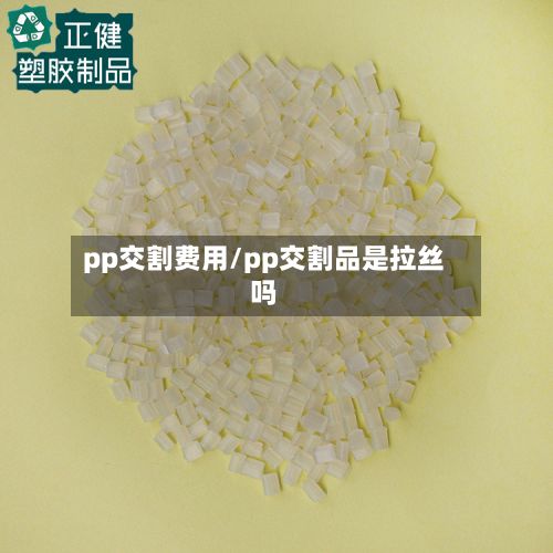 pp交割费用/pp交割品是拉丝吗-第2张图片
