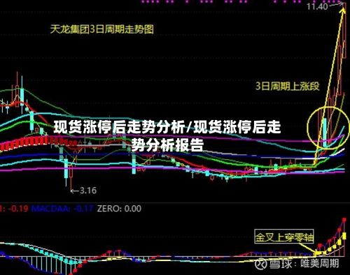 现货涨停后走势分析/现货涨停后走势分析报告