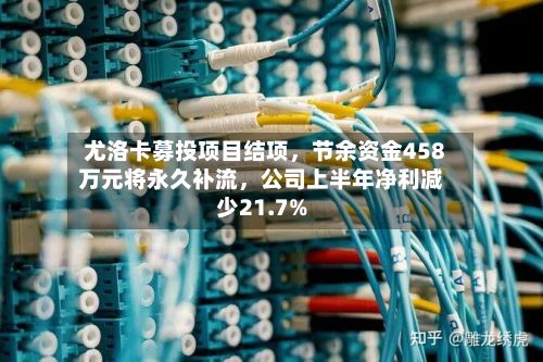 尤洛卡募投项目结项	，节余资金458万元将永久补流，公司上半年净利减少21.7%-第3张图片