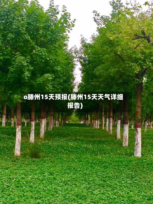 o滕州15天预报(滕州15天天气详细报告)-第3张图片