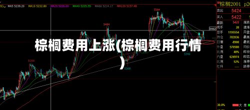 棕榈费用上涨(棕榈费用行情)-第3张图片
