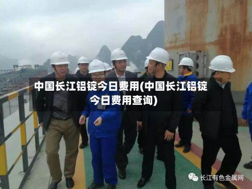 中国长江铝锭今日费用(中国长江铝锭今日费用查询)