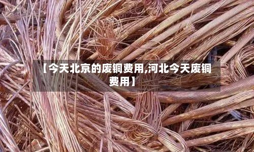 【今天北京的废铜费用,河北今天废铜费用】-第3张图片