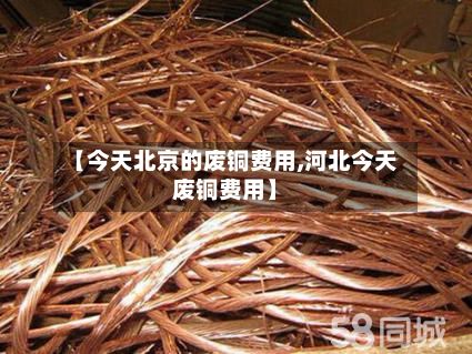 【今天北京的废铜费用,河北今天废铜费用】-第2张图片