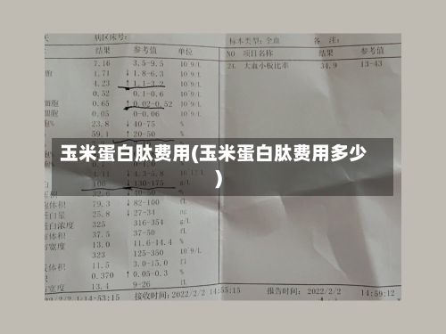 玉米蛋白肽费用(玉米蛋白肽费用多少)