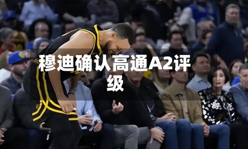 穆迪确认高通A2评级