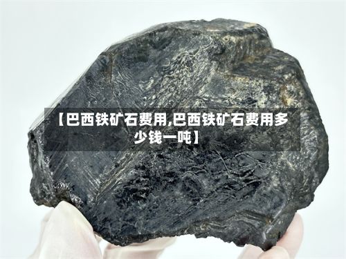 【巴西铁矿石费用,巴西铁矿石费用多少钱一吨】