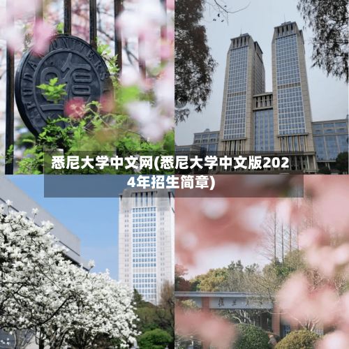 悉尼大学中文网(悉尼大学中文版2024年招生简章)-第2张图片