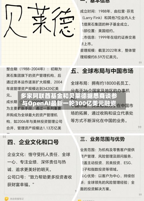 多家阿联酋基金和贝莱德据悉商谈参与OpenAI最新一轮300亿美元融资