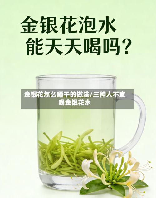 金银花怎么晒干的做法/三种人不宜喝金银花水-第3张图片
