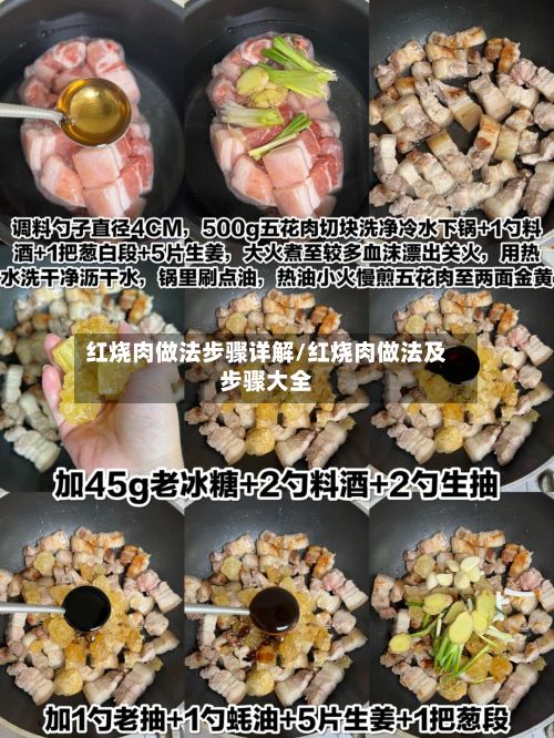 红烧肉做法步骤详解/红烧肉做法及步骤大全