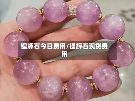 锂辉石今日费用/锂辉石现货费用