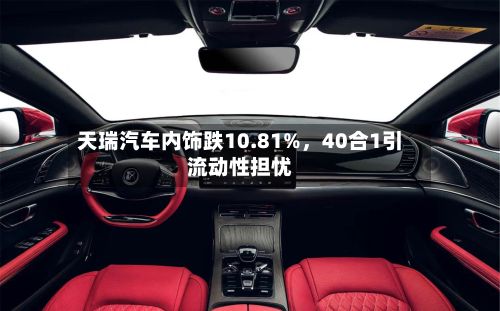 天瑞汽车内饰跌10.81%，40合1引流动性担忧-第3张图片