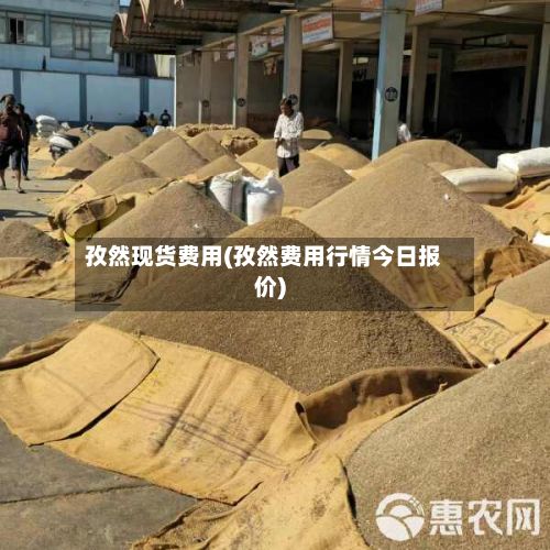 孜然现货费用(孜然费用行情今日报价)-第3张图片