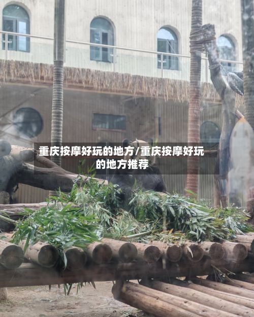 重庆按摩好玩的地方/重庆按摩好玩的地方推荐-第3张图片