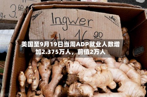美国至9月19日当周ADP就业人数增加2.375万人，前值2万人