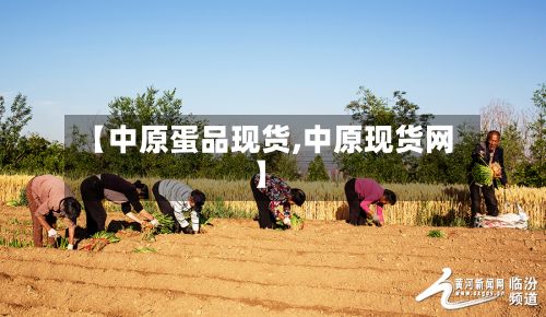 【中原蛋品现货,中原现货网】