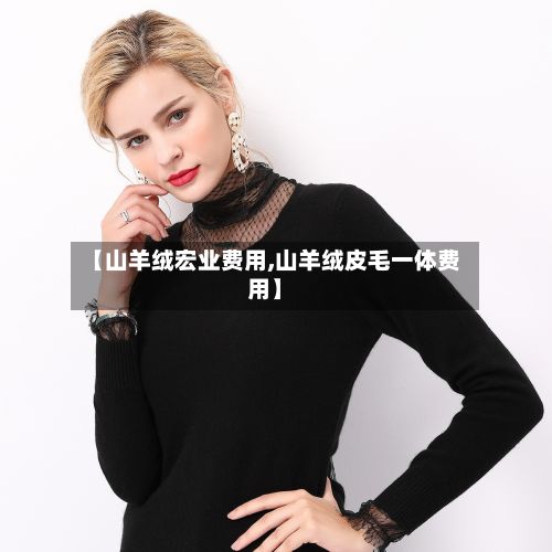 【山羊绒宏业费用,山羊绒皮毛一体费用】