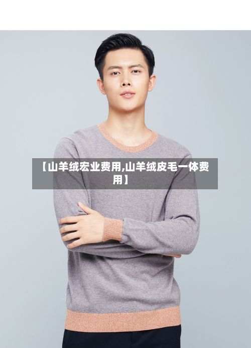 【山羊绒宏业费用,山羊绒皮毛一体费用】-第2张图片