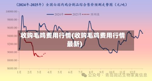 收购毛鸡费用行情(收购毛鸡费用行情最新)-第3张图片