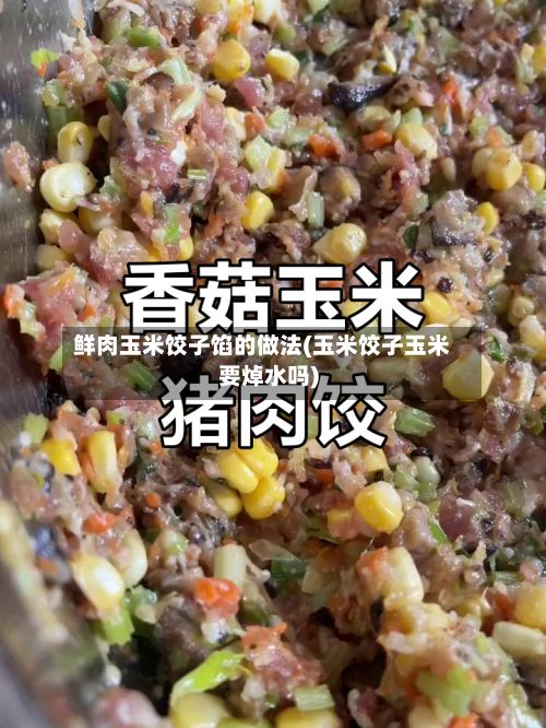 鲜肉玉米饺子馅的做法(玉米饺子玉米要焯水吗)