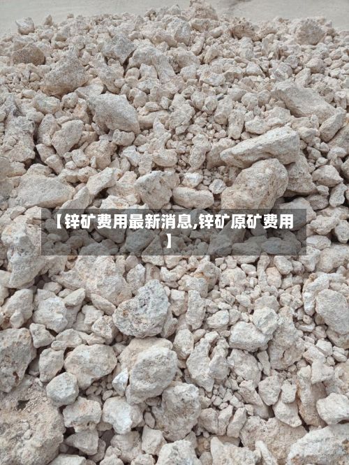 【锌矿费用最新消息,锌矿原矿费用】-第2张图片