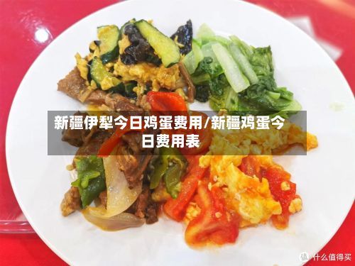 新疆伊犁今日鸡蛋费用/新疆鸡蛋今日费用表