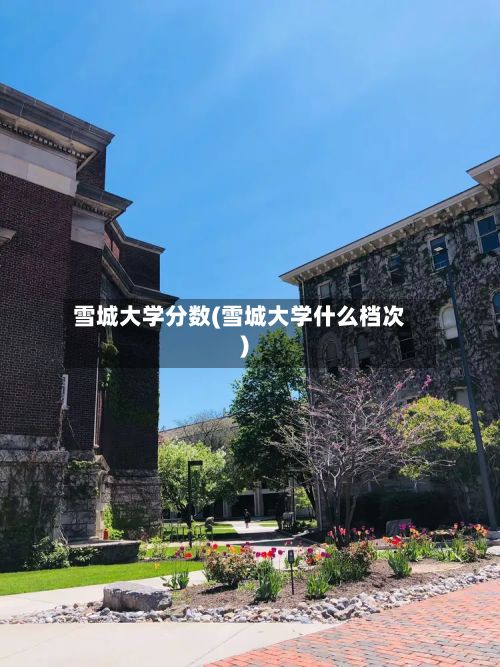 雪城大学分数(雪城大学什么档次)