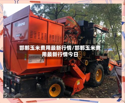 邯郸玉米费用最新行情/邯郸玉米费用最新行情今日