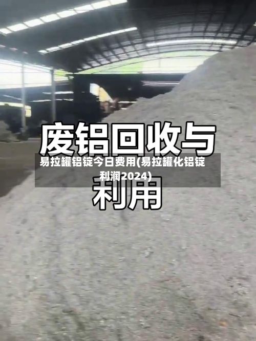 易拉罐铝锭今日费用(易拉罐化铝锭利润2024)