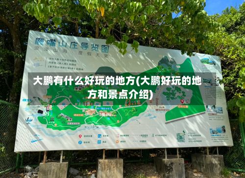 大鹏有什么好玩的地方(大鹏好玩的地方和景点介绍)