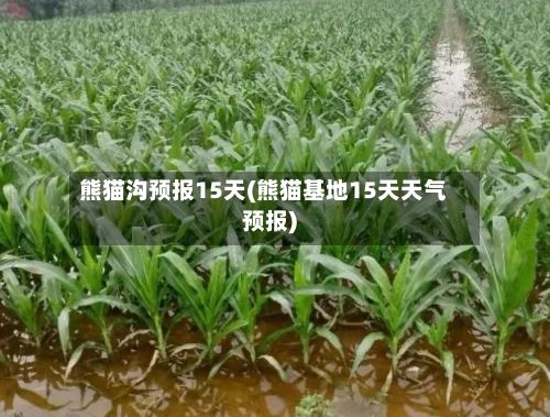 熊猫沟预报15天(熊猫基地15天天气预报)-第2张图片