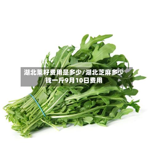 湖北莱籽费用是多少/湖北芝麻多少钱一斤9月10日费用