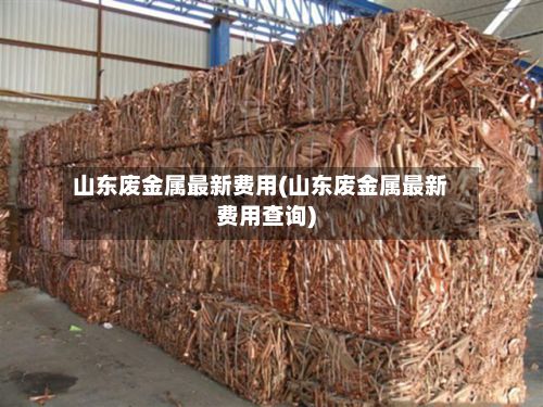 山东废金属最新费用(山东废金属最新费用查询)
