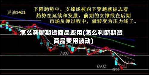 怎么判断期货商品费用(怎么判断期货商品费用波动)