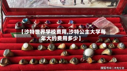 【沙特世界学校费用,沙特公主大学每年大约费用多少】