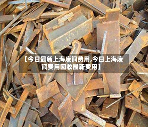 【今日最新上海废铜费用,今日上海废铜费用回收最新费用】-第3张图片