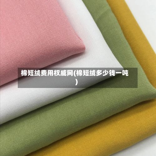 棉短绒费用权威网(棉短绒多少钱一吨)-第3张图片