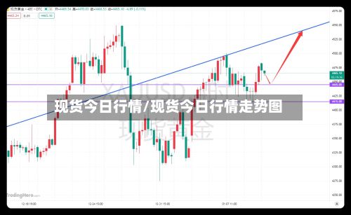 现货今日行情/现货今日行情走势图