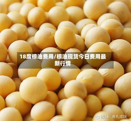 18度棕油费用/棕油现货今日费用最新行情