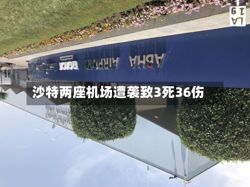 沙特两座机场遭袭致3死36伤-第2张图片