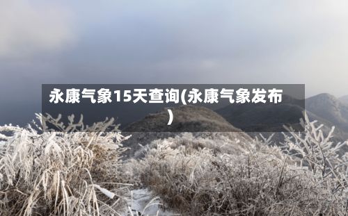 永康气象15天查询(永康气象发布)