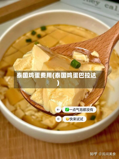 泰国鸡蛋费用(泰国鸡蛋巴拉达)