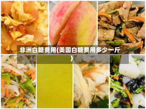 非洲白糖费用(美国白糖费用多少一斤)