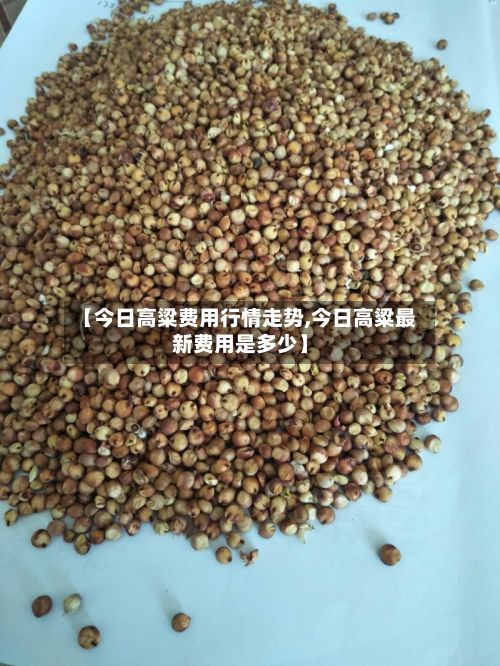 【今日高粱费用行情走势,今日高粱最新费用是多少】-第2张图片