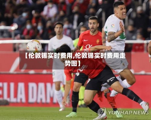 【伦敦锡实时费用,伦敦锡实时费用走势图】-第2张图片